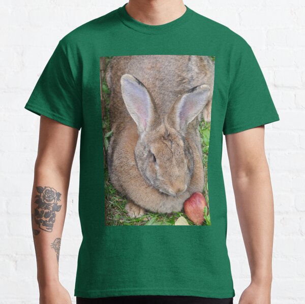 Pet Bunny loves his Apples Classic T-Shirt
