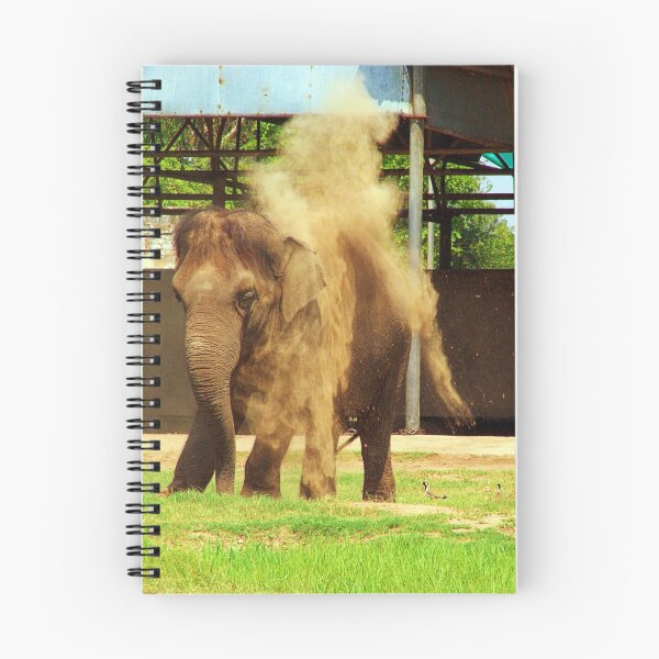Item preview, Polvoriento designed and sold by digiphotography.