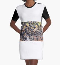 Flock of Seagulls, well, almost Graphic T-Shirt Dress