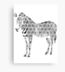 Schurken Panda | Was zum Zebra ?! Leinwanddruck