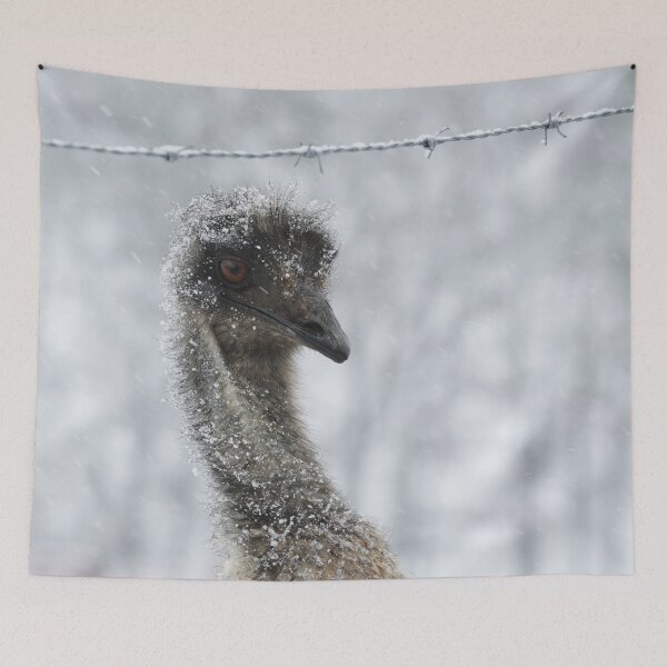Item preview, Snowy Emu designed and sold by StampCity.