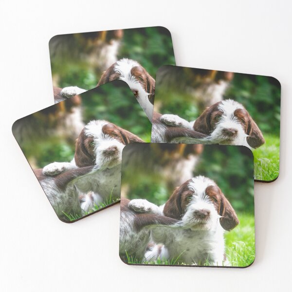 Item preview, Spinone puppy dog tails by heidiannemorris designed and sold by FOLK ART FUSION by heidiannemorris.