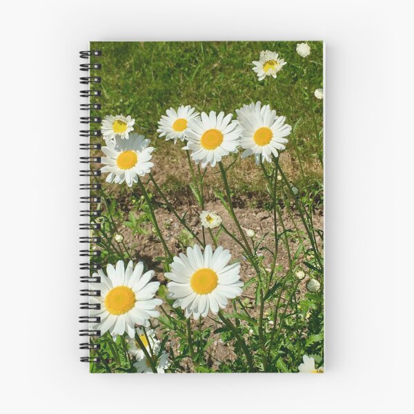 Item preview, Delicate grouping of Daisies in field designed and sold by 2CrabbySisters.