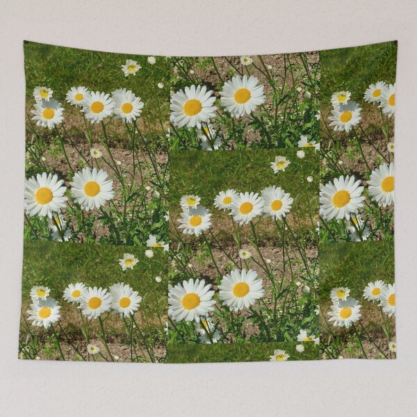 Item preview, Delicate grouping of Daisies in field designed and sold by 2CrabbySisters.