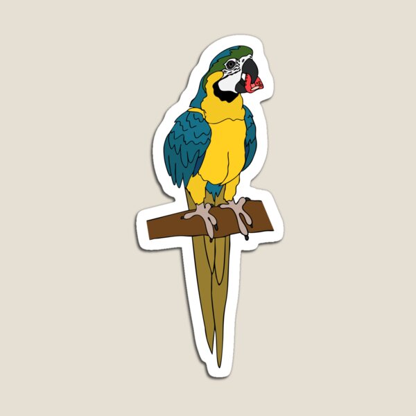 Blue and Gold Macaw Magnet