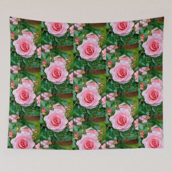 Item preview, Pink Rose in Full Bloom. designed and sold by 2CrabbySisters.