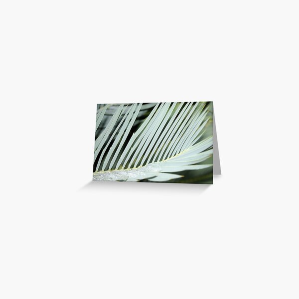 Encephalartos princeps Greeting Card