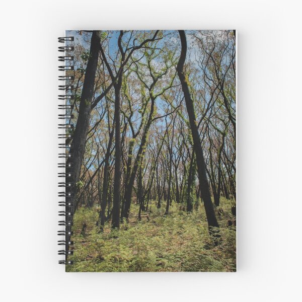 Item preview, Bushfire regrowth designed and sold by jdtiger.
