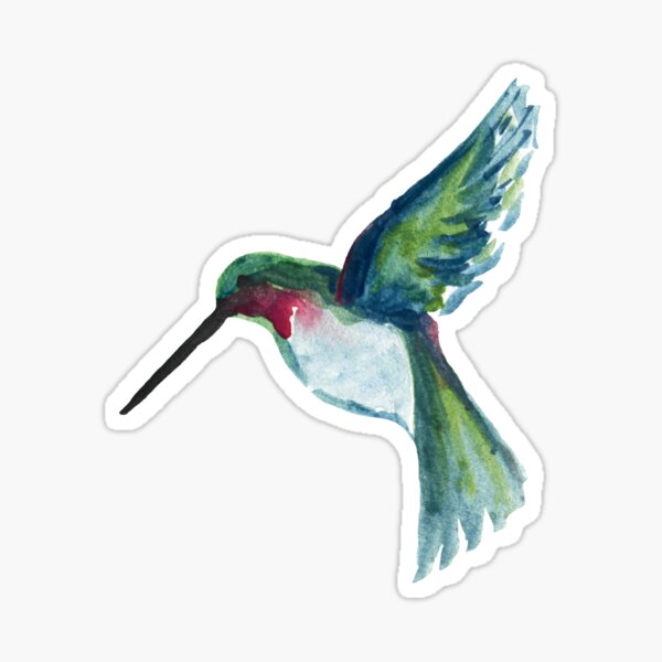 watercolor hummingbird Sticker