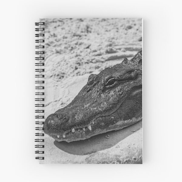 Item preview, Relaxing Alligator black and white designed and sold by KensLensDesigns.