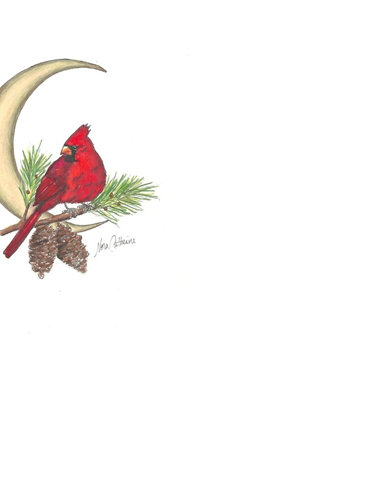 Cardinal - watching over me by noracatherine