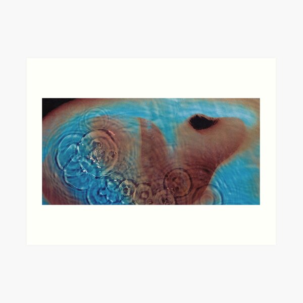 Pink Floyd - Meddle Impression artistique