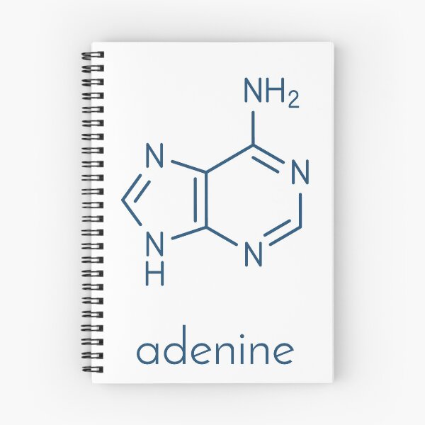 Item preview, Adenine (A, Adenine) purine nucleobase molecule designed and sold by molekuul.