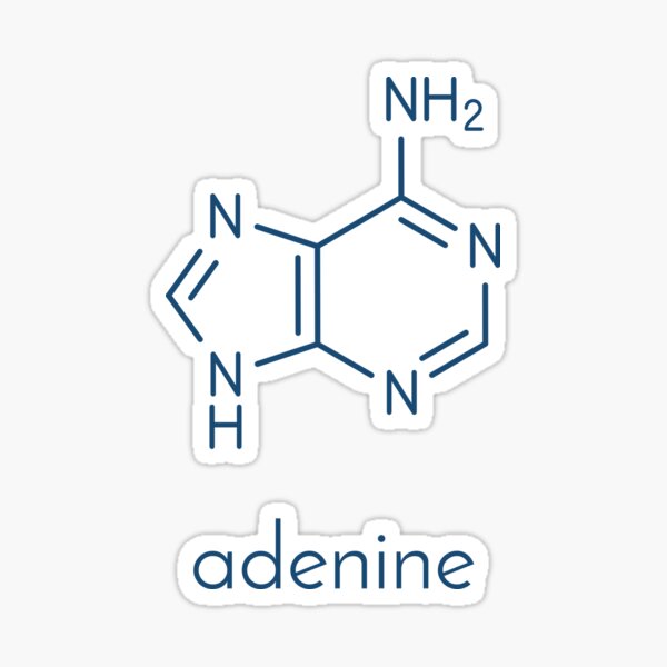 "Adenine (A, Adenine) purine nucleobase molecule" Sticker by molekuul ...
