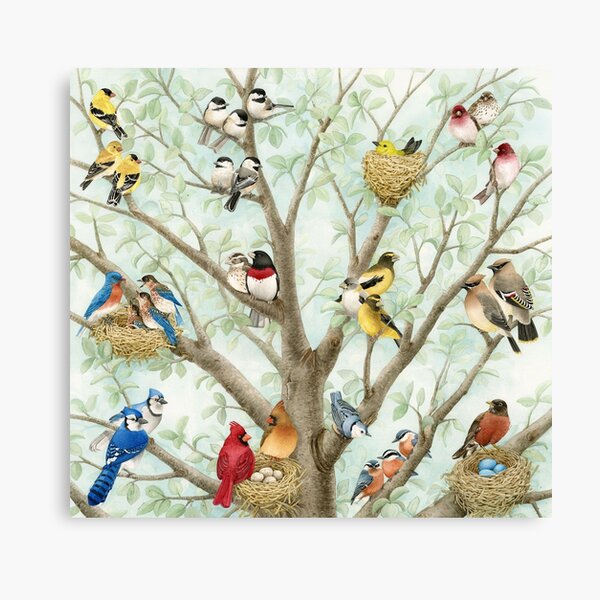 Nature Digital Print Cardinals Blue Bird Golden Finch 