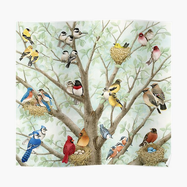 Bird Tree Poster
