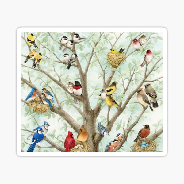 Bird Tree Sticker