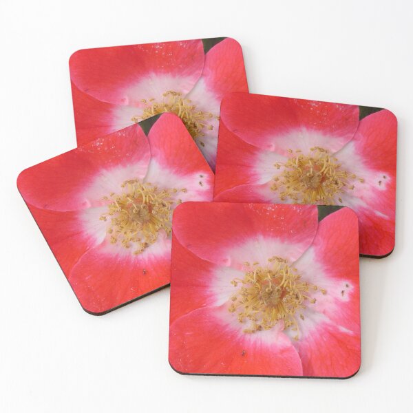 Item preview, A Rose a day in summer - up close designed and sold by ellenhenry.
