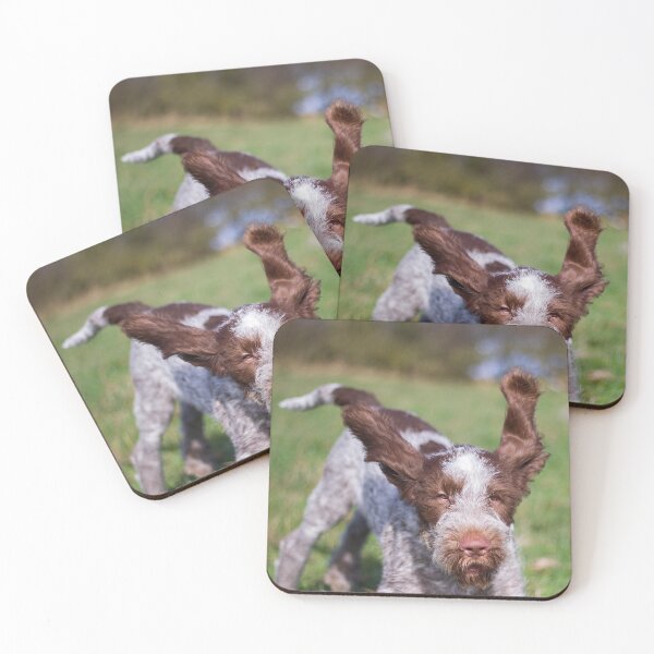 Item preview, Brown Roan Italian Spinone Puppy Dog In Action by heidiannemorris © designed and sold by FOLK ART FUSION by heidiannemorris.