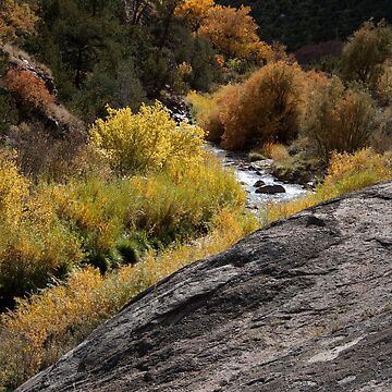 Artwork thumbnail, Fall Colors by KDPhotos
