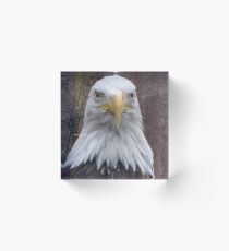 American Eagle Acrylic Block