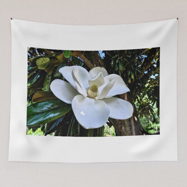 Item preview, Magnolia 5 - Tampa, Florida designed and sold by jtrommer.