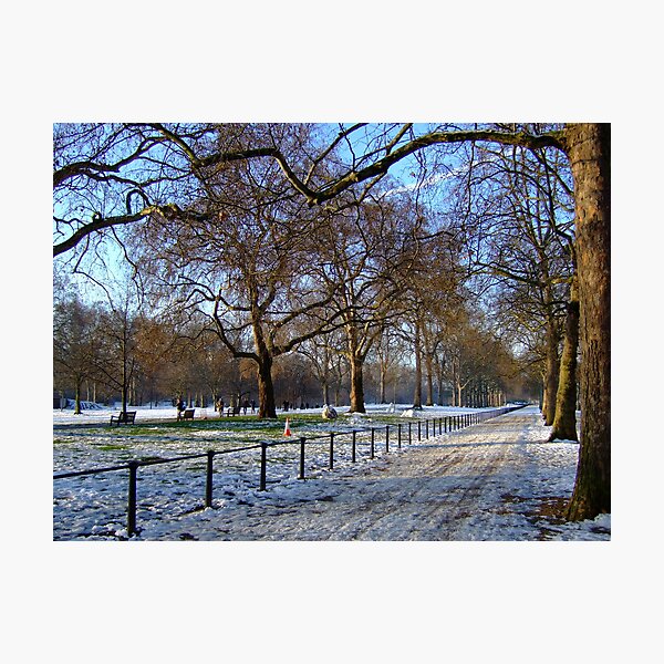 St James's Park, Winter Photographic Print