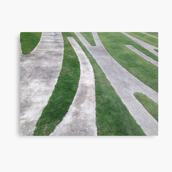 Divergent Paths Metal Print