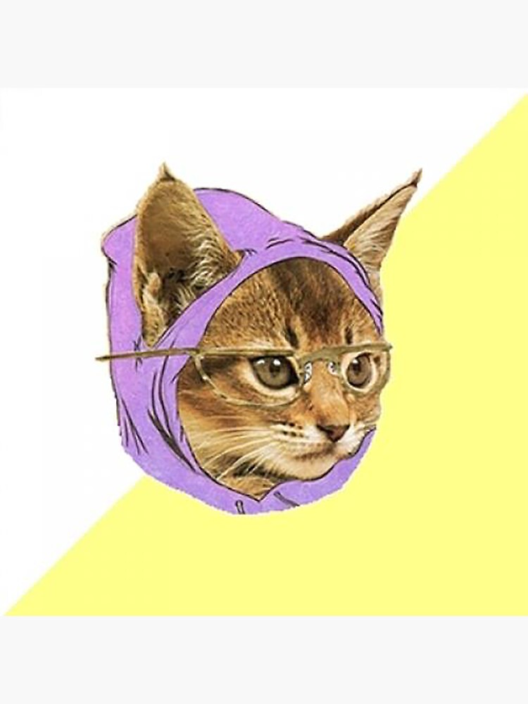 Hipster Kitty" Sticker for Sale by FlashmanBiscuit | Redbubble