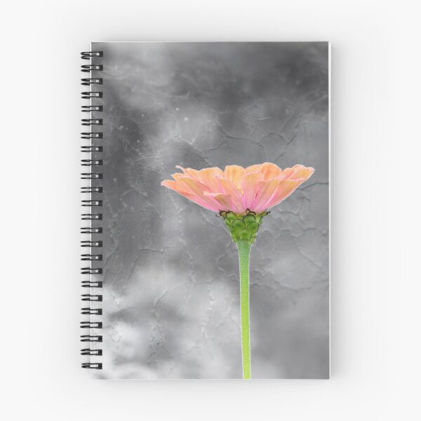 Item preview, Zinnia 2018-1 designed and sold by Thomasyoung.
