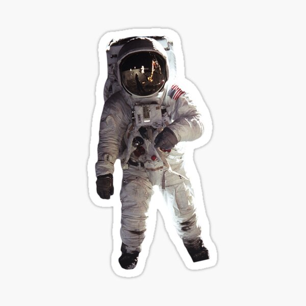 Item preview, Gemini Walk 2 designed and sold by StbdCapsized.