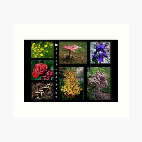 Flowers & Fungi ~ Wairoa Art Print