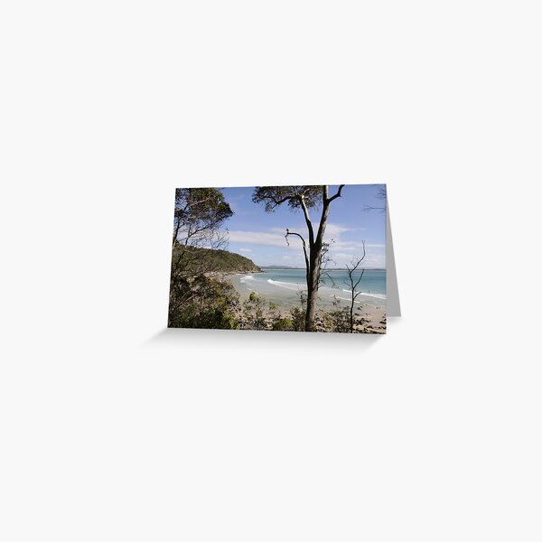 Item preview, View of Beach of Noosa NP designed and sold by smallan.