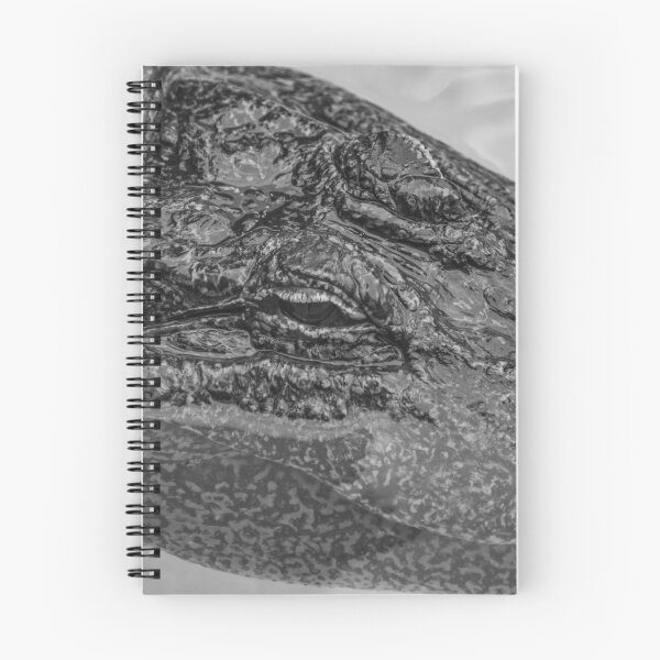 Item preview, Relaxing Alligator black and white 2 designed and sold by KensLensDesigns.