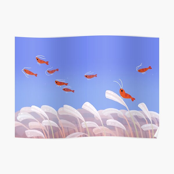 Flying cherry shrimp Poster
