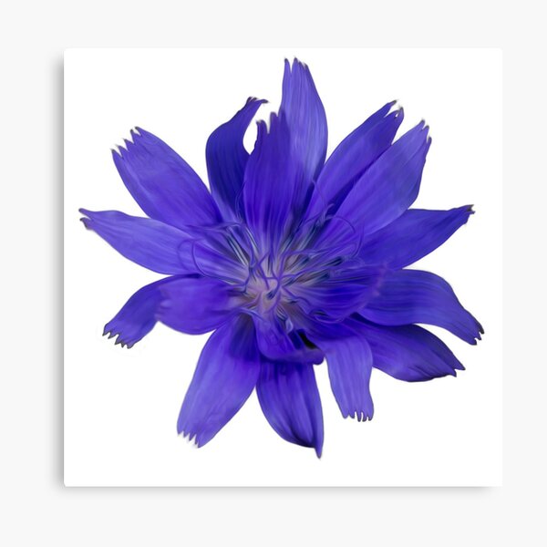 Purple Flower White (circle background) Canvas Print
