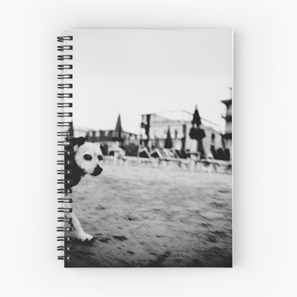 Item preview, DOGDAYS designed and sold by Julia Aufschnaiter.