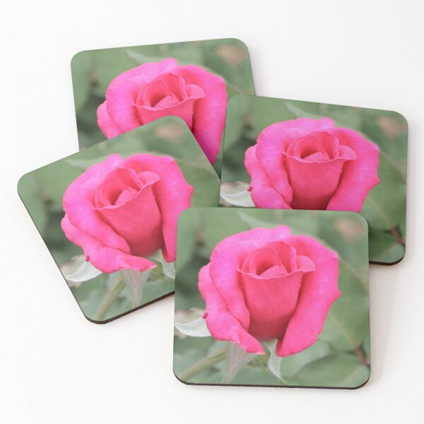 Item preview, Six Pink Roses - Mixture designed and sold by STHogan.