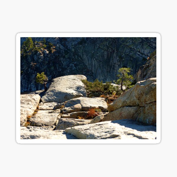 DONNER SUMMIT Sticker