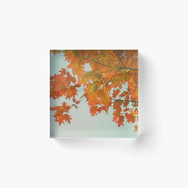 Item preview, Sienna designed and sold by rusticautumn.