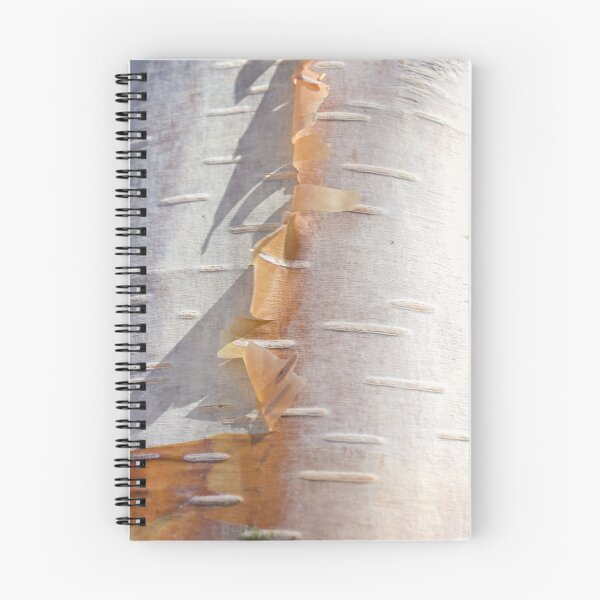 Item preview, Renewal designed and sold by Alexandra Lavizzari.