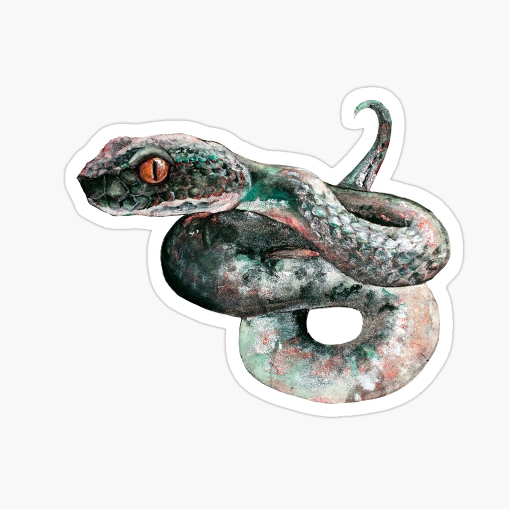 Snake Watercolor Illustration&amp;quot; Laptop Skin by Nahinds | Redbubble