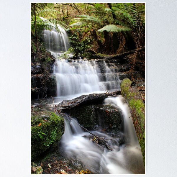 Item preview, Myrtle Falls, Mt Wellington, Tasmania designed and sold by Kirsten Covington.