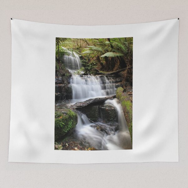 Item preview, Myrtle Falls, Mt Wellington, Tasmania designed and sold by Kirsten Covington.