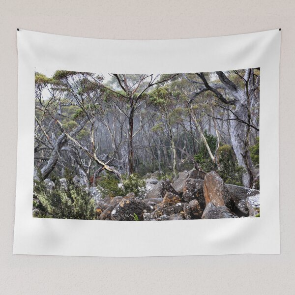 Item preview, Forrest in the fog designed and sold by Kirsten Covington.