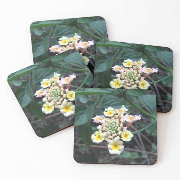 Item preview, Beaut Flower designed and sold by Ovahill.