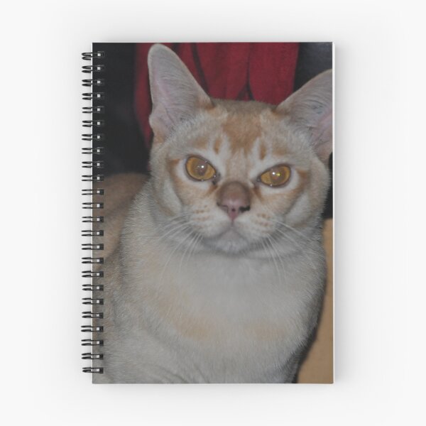 Item preview, our Burmese  cat     designed and sold by jane Mcainsh.