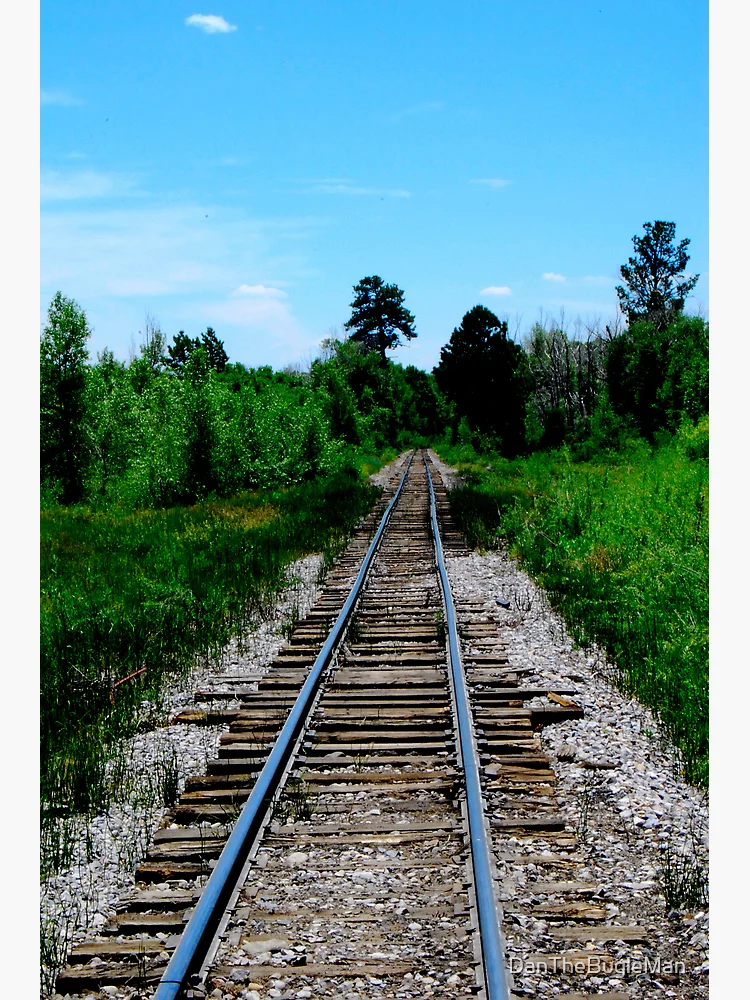 Thumbnail 3 von 3, Poster, Forgotten Rails designt und verkauft von DanTheBugleMan.