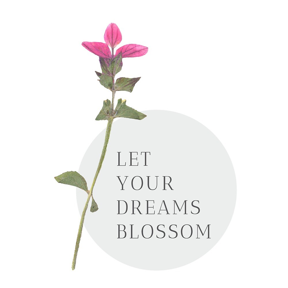 Dream blossom. Let your Dreams Shine перевод. Blossom перевод. __Your_Dream__ Катя. Лет е Дрим блоссом перевод на русский.