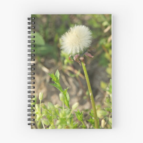 Item preview, Dandelions last stand designed and sold by AlixCollins.